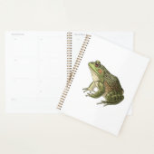 Frosch Planer (Anzeige)