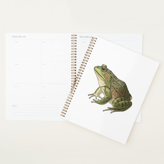 Frosch Planer (Anzeige)