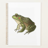 Frosch Planer (Vorderseite)