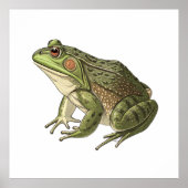 Frosch Poster (Vorne)
