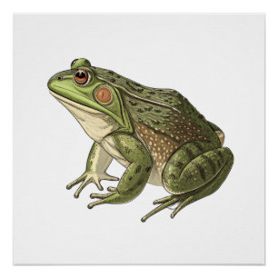 Frosch Poster