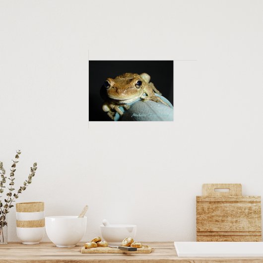 Frosch Poster (Küche)