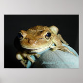 Frosch Poster (Vorne)