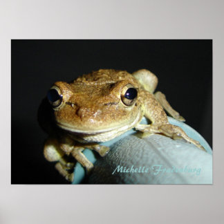 Frosch Poster