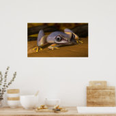 Frosch Poster (Küche)