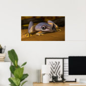 Frosch Poster (Heimbüro)