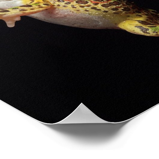Frosch Poster (Ecke)