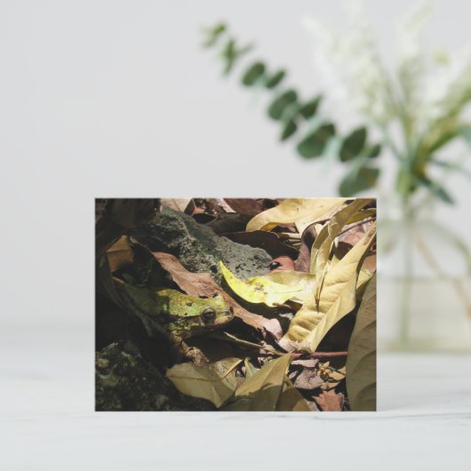 Frosch Postkarte (Stehend Vorderseite)