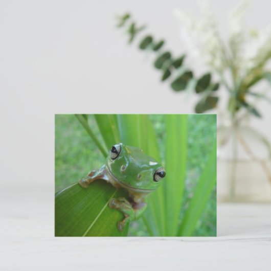 Frosch Postkarte (Stehend Vorderseite)