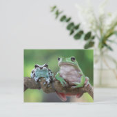 Frosch Postkarte (Stehend Vorderseite)