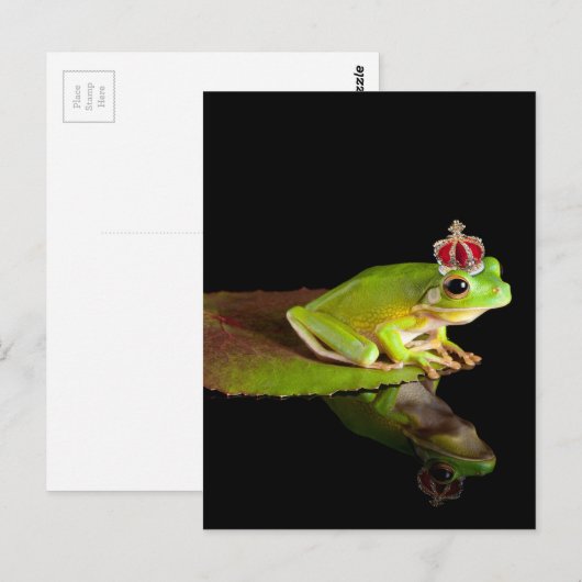 Frosch Postkarte (Vorne/Hinten)