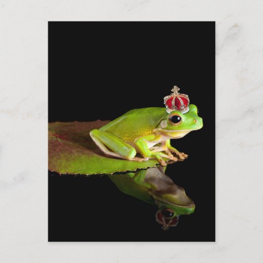 Frosch Postkarte (Vorderseite)