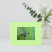 Frosch Postkarte (Stehend Vorderseite)