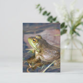 Frosch Postkarte (Stehend Vorderseite)