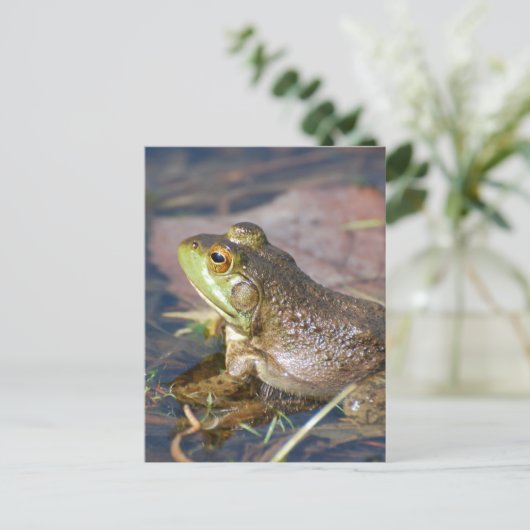 Frosch Postkarte (Stehend Vorderseite)