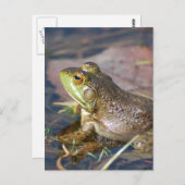 Frosch Postkarte (Vorne/Hinten)