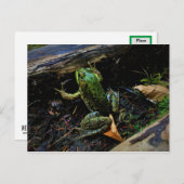 Frosch Postkarte (Vorne/Hinten)