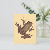 Frosch Postkarte (Stehend Vorderseite)
