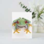 Frosch Postkarte (Stehend Vorderseite)