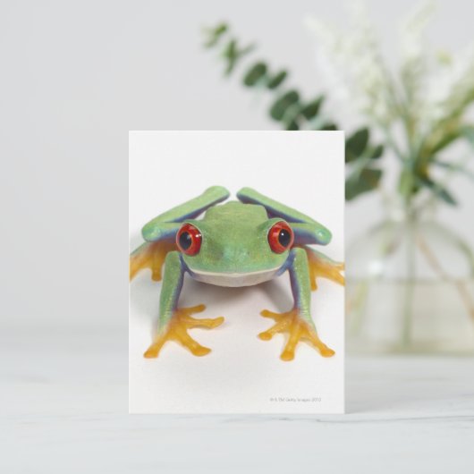 Frosch Postkarte (Stehend Vorderseite)