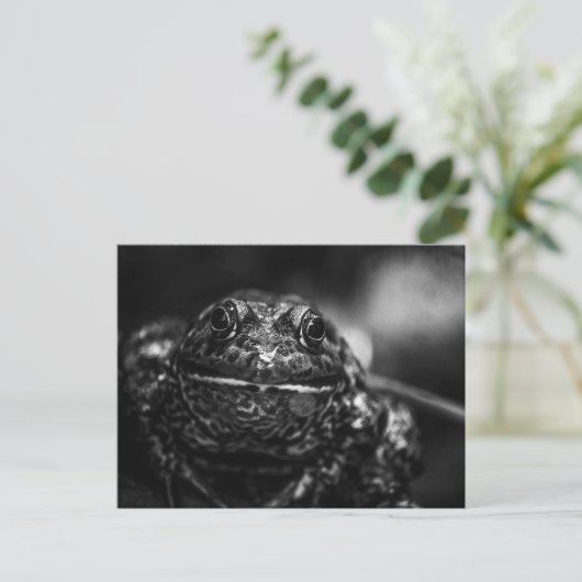 Frosch Postkarte (Stehend Vorderseite)