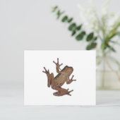 Frosch Postkarte (Stehend Vorderseite)