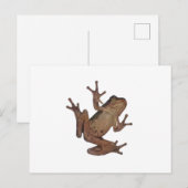 Frosch Postkarte (Vorne/Hinten)