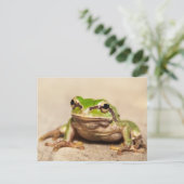 FROSCH POSTKARTE (Stehend Vorderseite)