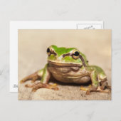 FROSCH POSTKARTE (Vorne/Hinten)