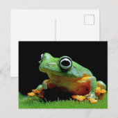 Frosch Postkarte (Vorne/Hinten)