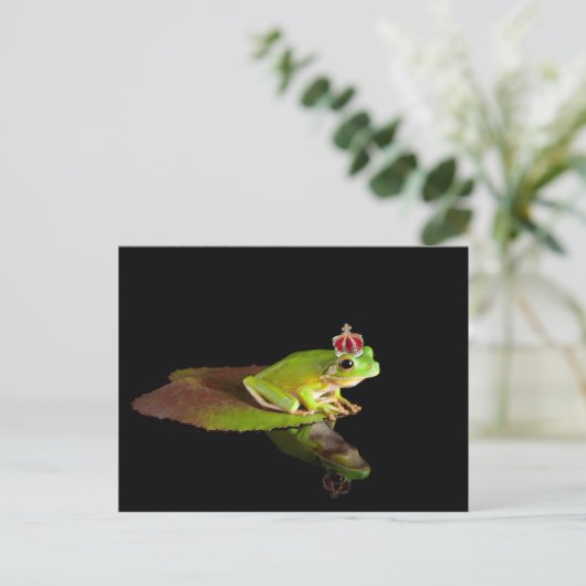 Frosch Postkarte (Stehend Vorderseite)