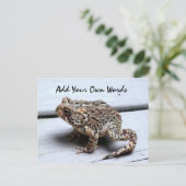 Frosch Postkarte (Stehend Vorderseite)