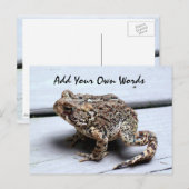 Frosch Postkarte (Vorne/Hinten)