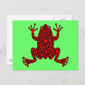 Frosch Postkarte (Vorne/Hinten)