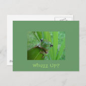Frosch Postkarte (Vorne/Hinten)
