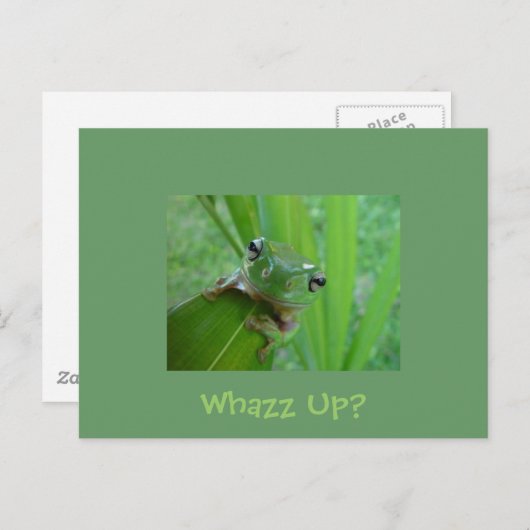 Frosch Postkarte (Vorne/Hinten)