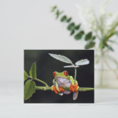 Frosch Postkarte (Stehend Vorderseite)