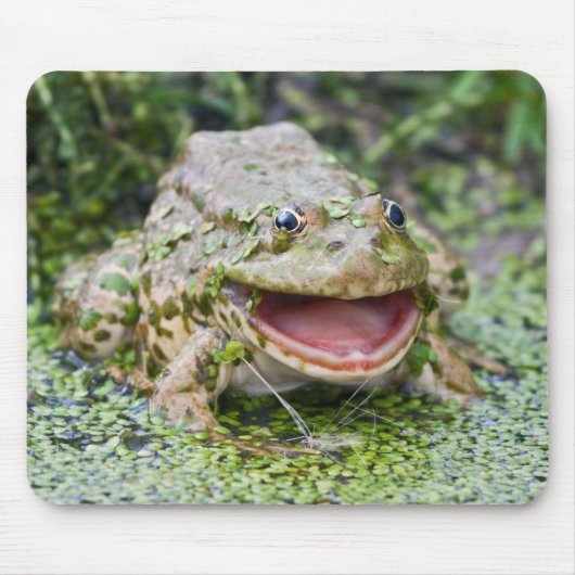 Frosch-Prinz Mousemat Mousepad (Vorne)