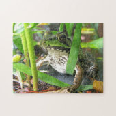 Frosch-Puzzlespiel Extraordinaire Puzzle (Horizontal)