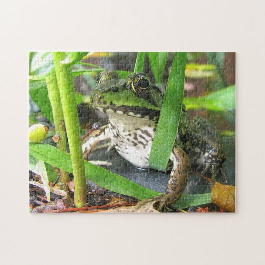 Frosch-Puzzlespiel Extraordinaire Puzzle (Horizontal)