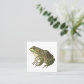 Frosch Quadratische Visitenkarte (Stehend Vorderseite)