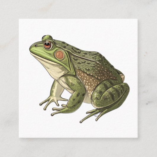 Frosch Quadratische Visitenkarte (Vorderseite)