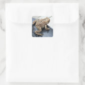 Frosch Quadratischer Aufkleber (Tasche)