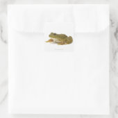 Frosch Quadratischer Aufkleber (Tasche)