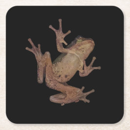 Frosch Rechteckiger Pappuntersetzer