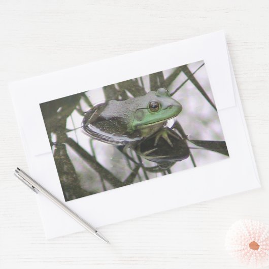 Frosch Reflektionskleber Rechteckiger Aufkleber (Umschlag)