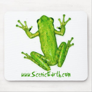 Frosch-Regenwald-Baum- des Waldesfrosch MousePad