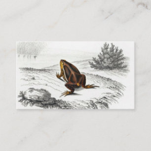 Frosch Reptil Vintage Kunst Visitenkarte