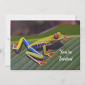 Frosch Rotes Auge Foto Geburtstag Einladung (Vorderseite)