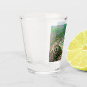 Frosch Schnapsglas (Links)